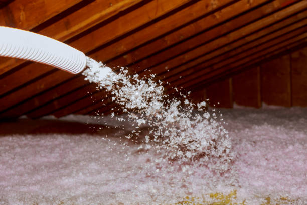 Best Cellulose Insulation  in Valparaiso, IN