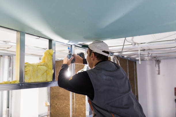 Best Spray Foam Insulation  in Valparaiso, IN