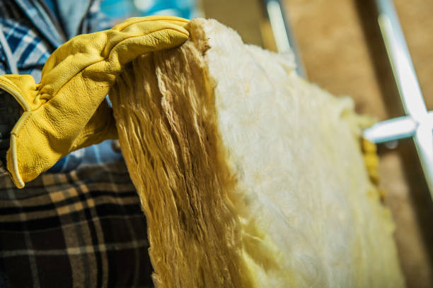 Best Attic Insulation Installation  in Valparaiso, IN