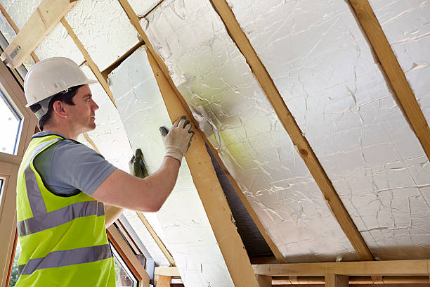 Best Energy-efficient Insulation  in Valparaiso, IN